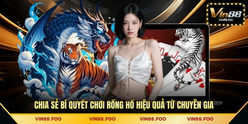 Chia sẻ bí quyết chơi Rồng Hổ hiệu quả từ chuyên gia