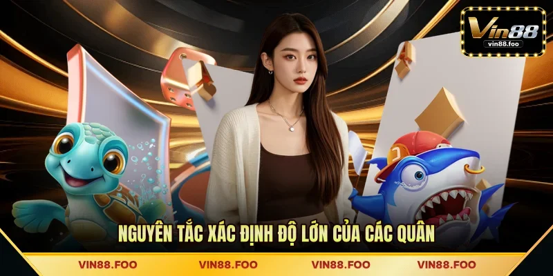 Nguyên tắc xác định độ lớn của các quân