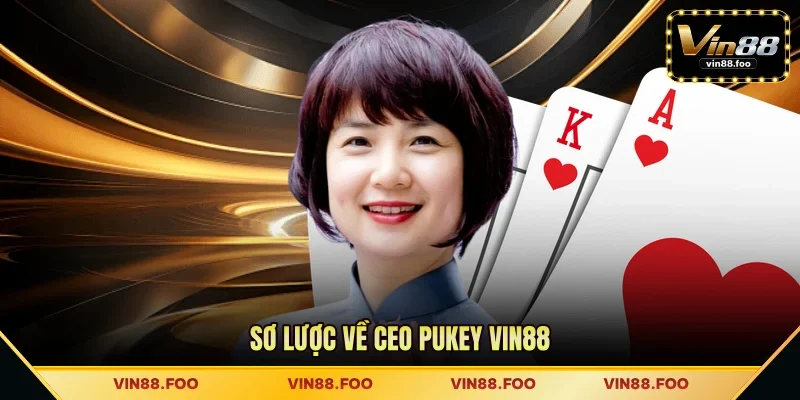 Sơ lược về CEO Pukey VIN88 